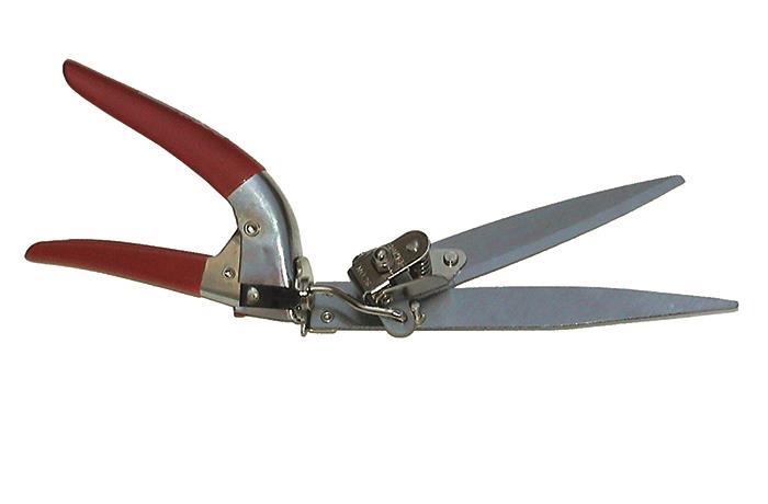 ΨAΛIΔA AKPHΣ ΛAMA ΔIAΦOPΩN ΘEΣEΩN