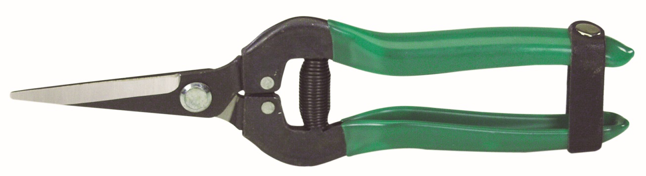 ΧΕΙΡΟΨΑΛΙΔΟ ΚΛΑΔΕΜΑΤΟΣ - cod.R340557 FORESTAL